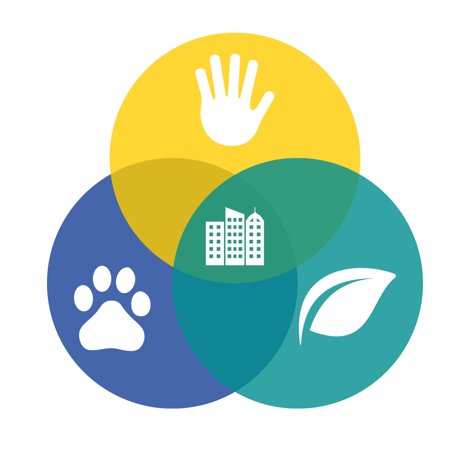 Avatar of One Health 4 Cities Network