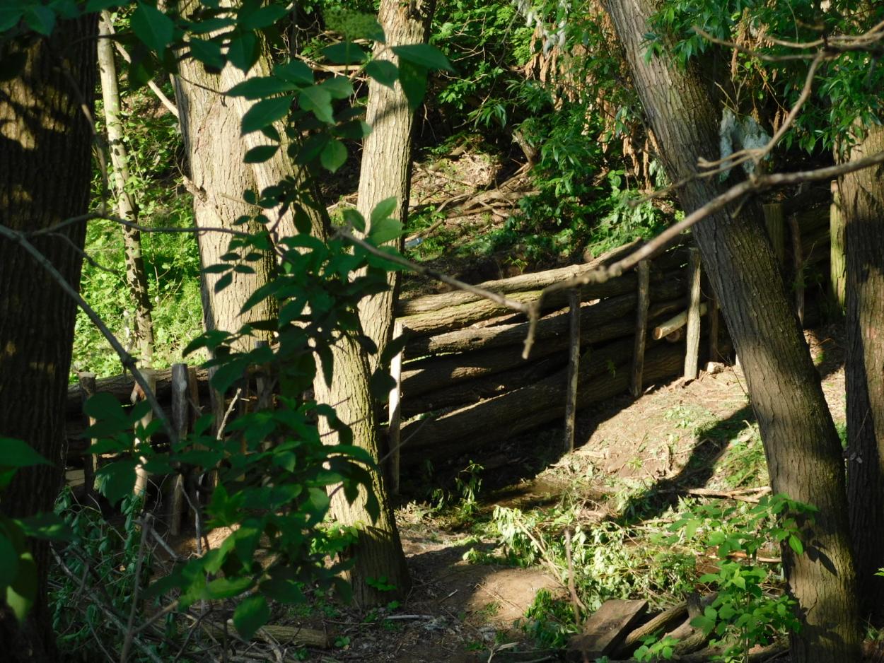 Municipality of Püspökszilágy