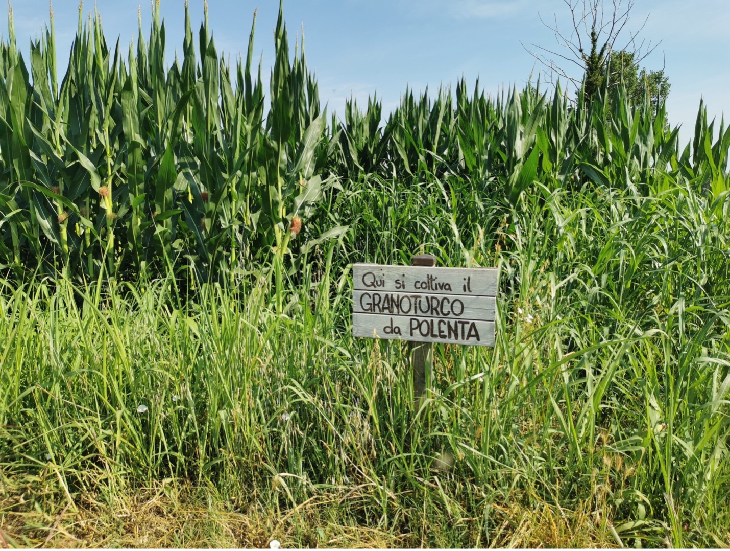 Cascina Claudina, City of Milan, Food Policy department