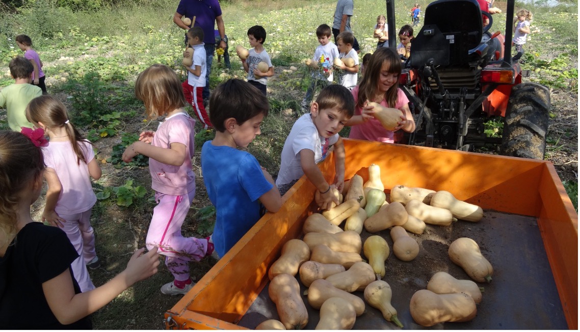 Children from Mouans-Sartoux primary schools who participate in the town's municipal farm in harvesting vegetables that they will soon eat in the school canteen (photo credit town of Mouans-Sartoux)