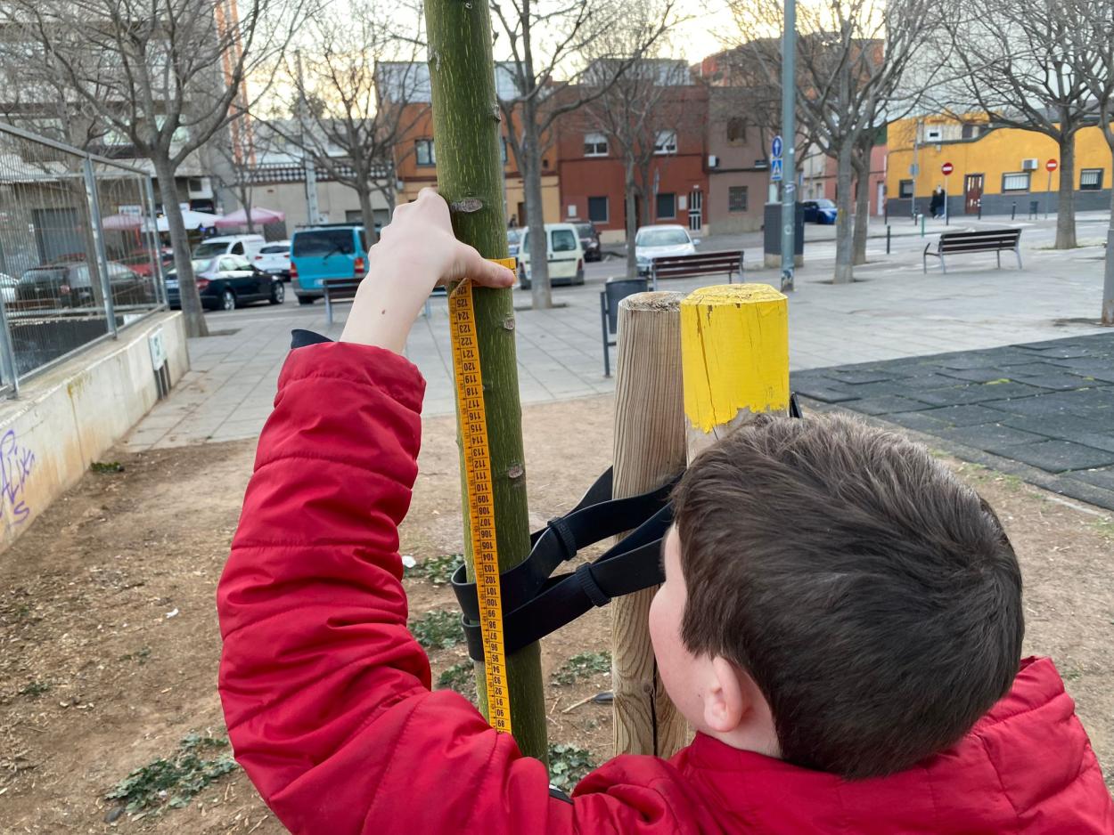 Viladecans - Co-Carbon Tree Measurement