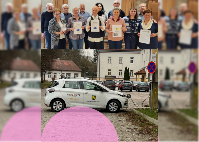 Elderly to elderly ans postofer initiative