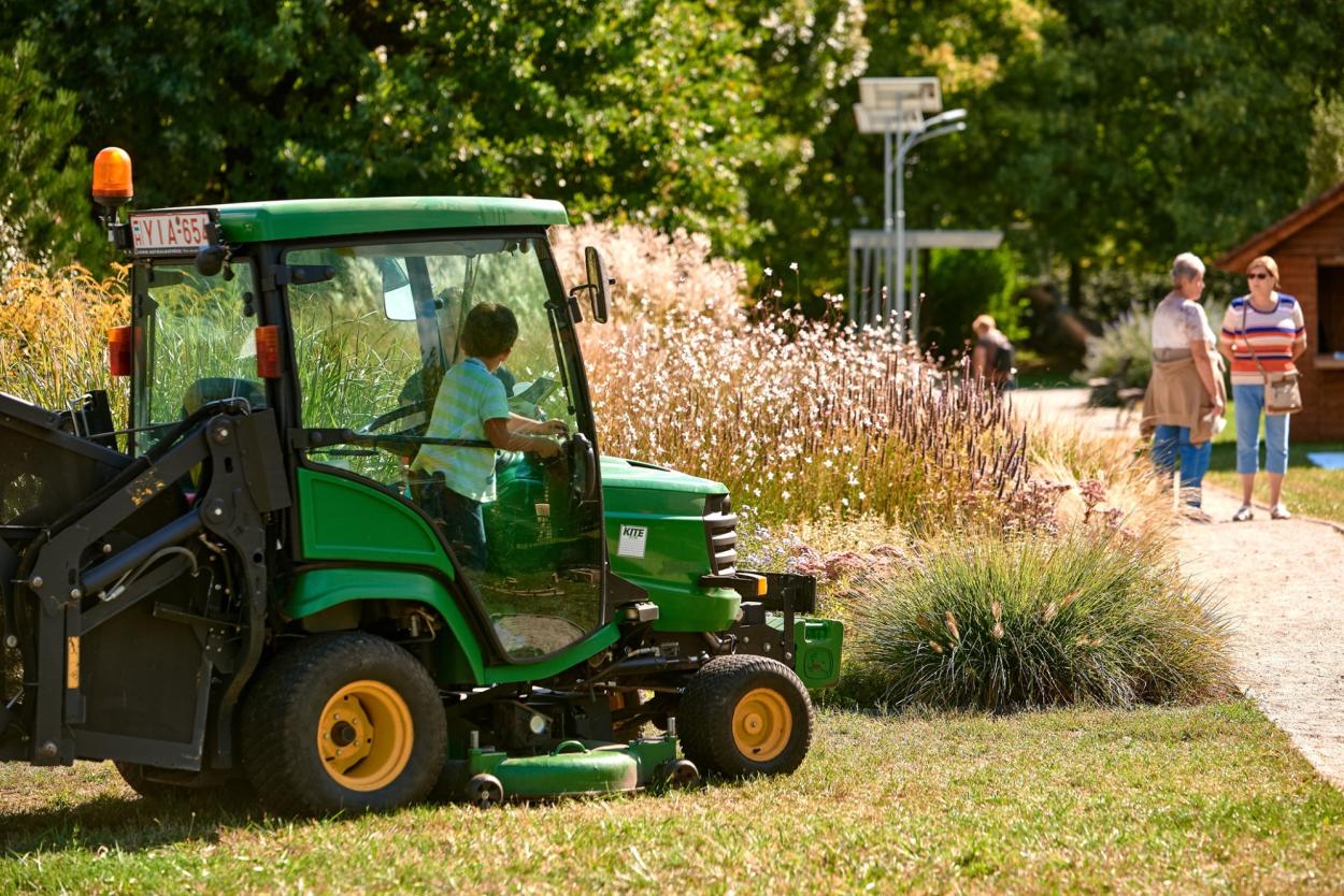 Semena travniških cvetlic so zbrali na okoliških rastiščih. Foto: Tamás Köller, VVI Ltd.