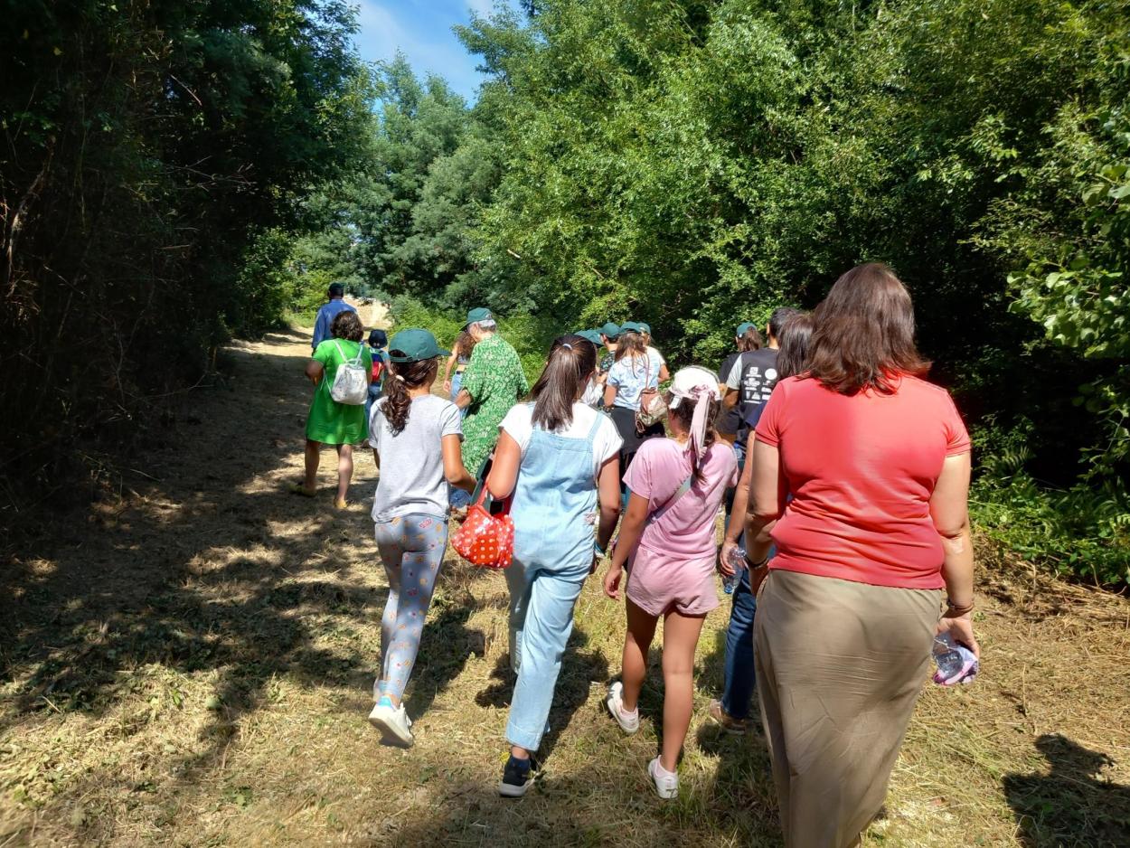 A group of people walking through a park.