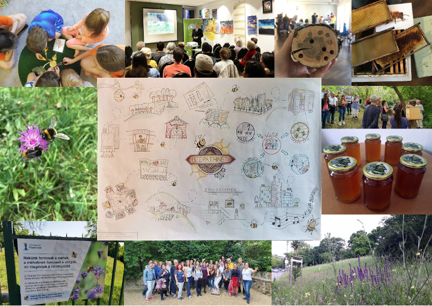Reuse of the Bee Path good practice in Hegyvidek, Hungary (collage from Hegyvidek Final Learning Log)