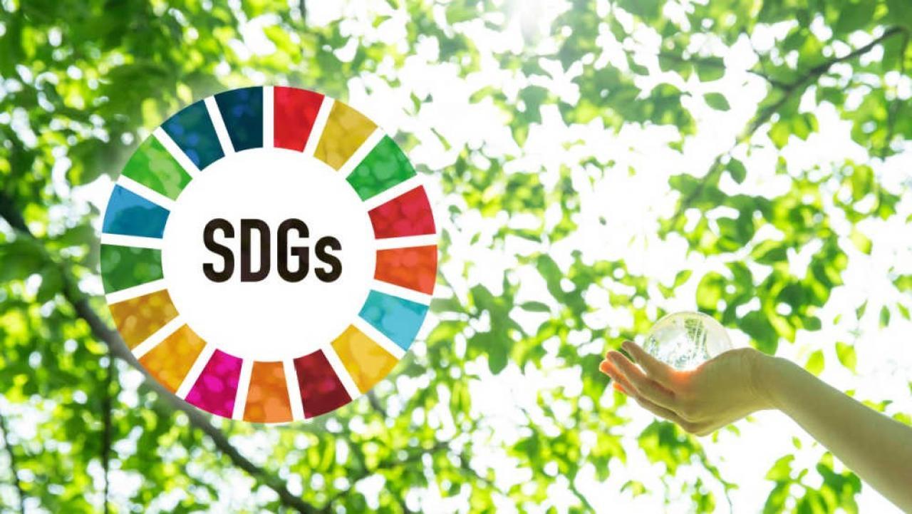 sdgs