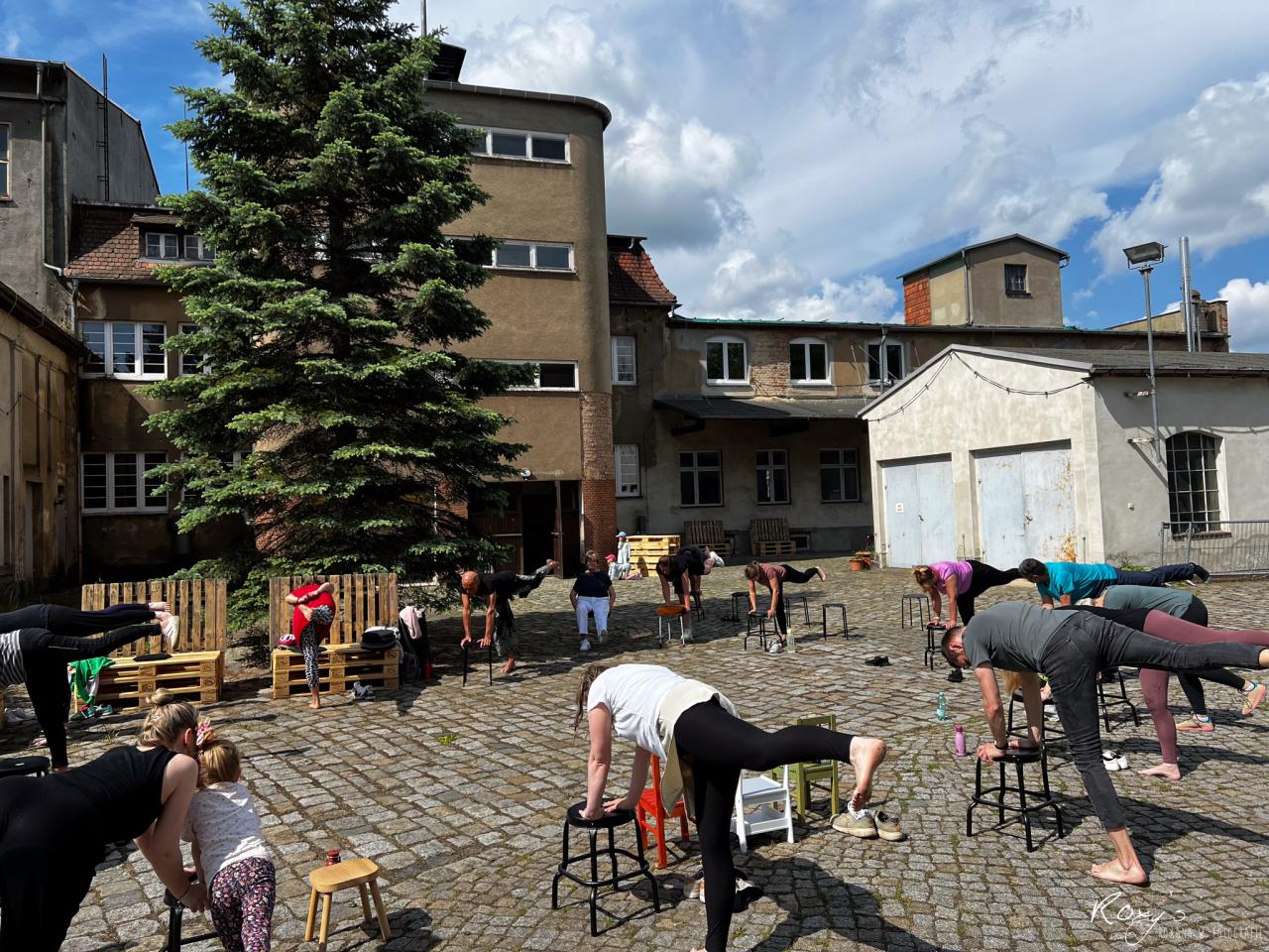 A group of people doing chair yoga in a cobblestone courtyard on a sunny day, with an industrial building and a large tree in the background