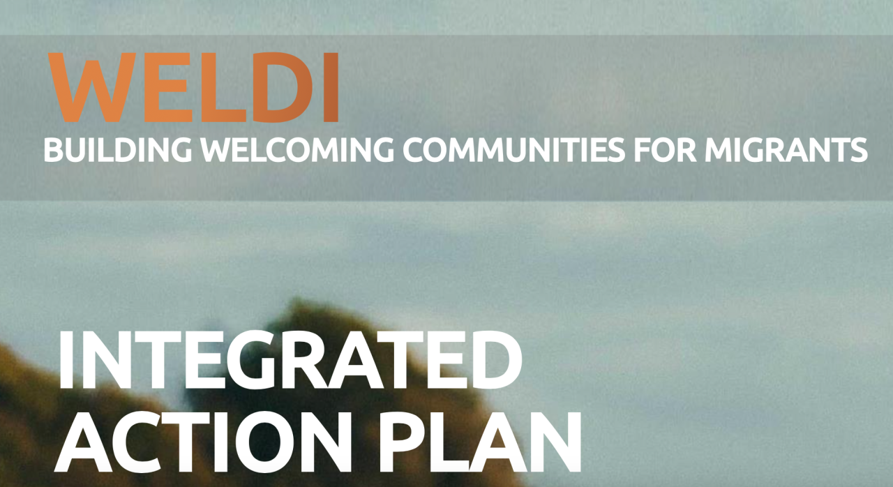 Title: WELDI Integrated Action Plans