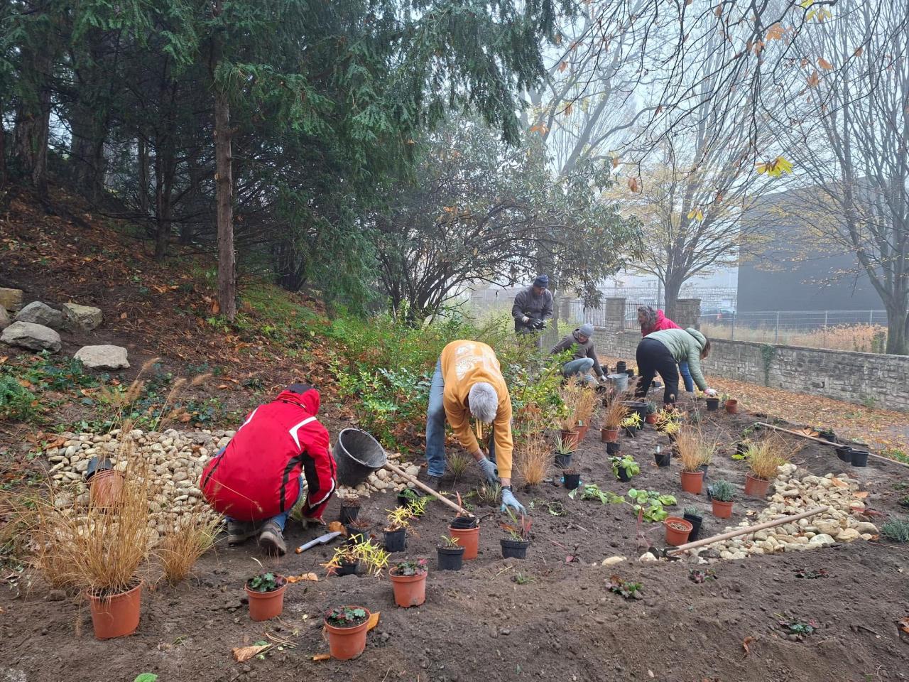 Photo by RÉT - Regeneratív Élőhely Tervezés