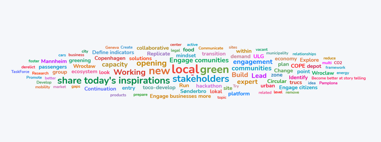 Word cloud illustrating participants’ responses to the question: “What should be the next step to accelerate green economic development in your local context?”