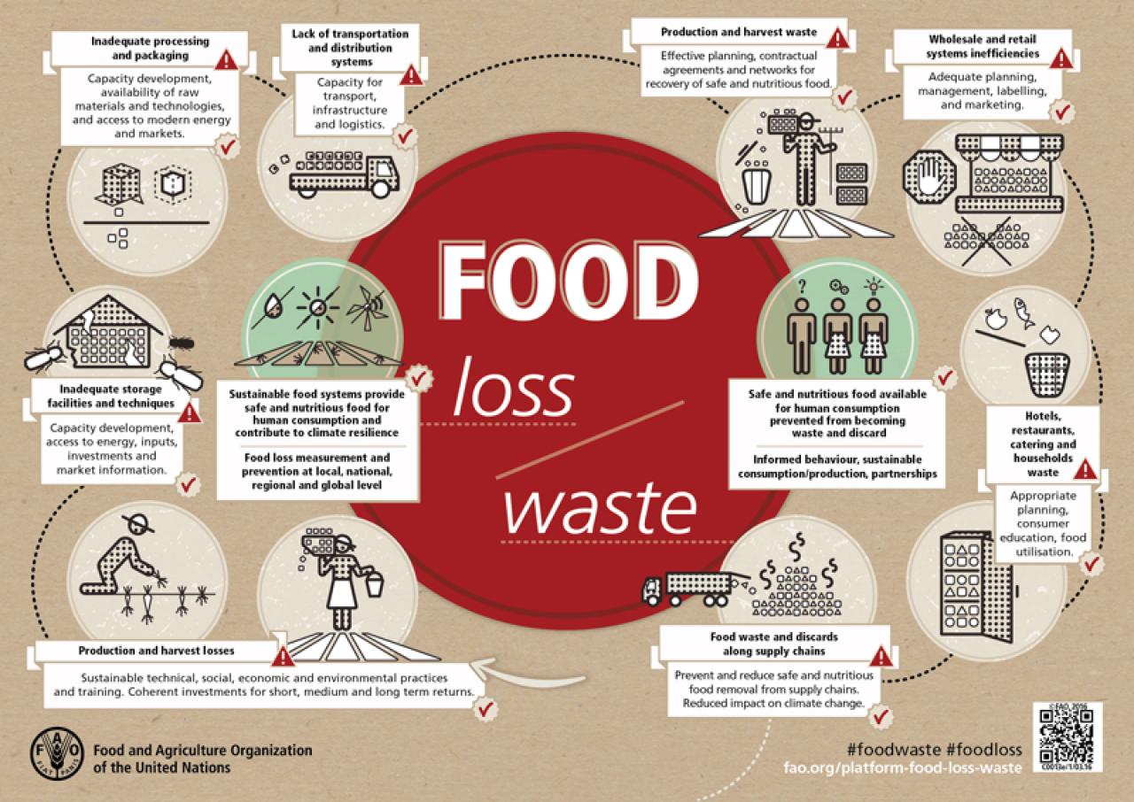 Zone Denmark - Circular Organic waste container