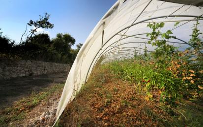 Food production in Mouans Sartoux (FR)