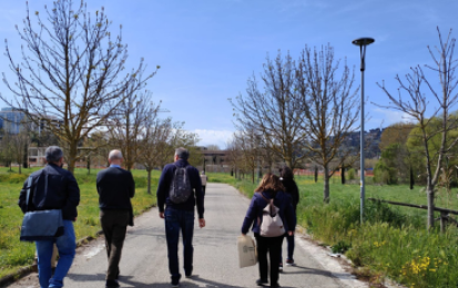 walking