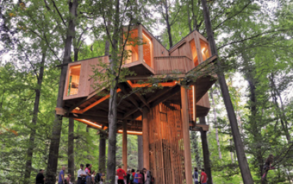 forest house