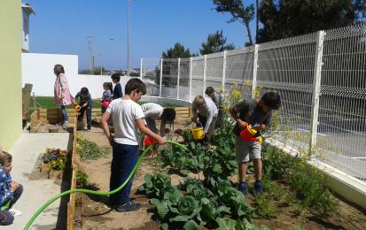 Torres Vedras - Sustainable Food School Programme