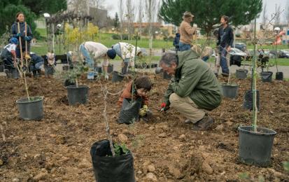 Tree plantation in Casais (2024). Photo credits: Casais Municipality.