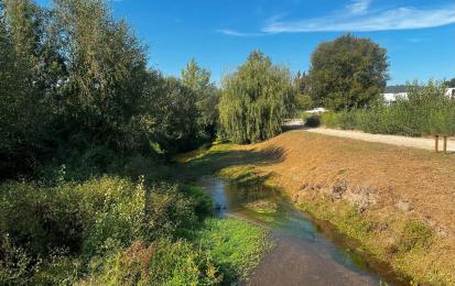 Picture description after (April 2025) rehabilitation of the riverbank of the Selho river. Photo credits Laboratório da Paisagem