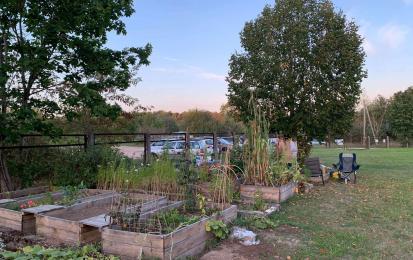 Community Garden in Vilnius after the project (2024). Photo credits: Municipality of Vilnius
