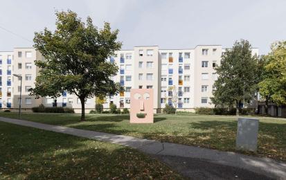 Photo description: Flowering lawn before sowing. Photo credit: VVI Kft., Veszprém