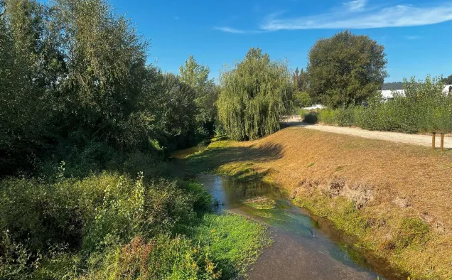 Picture description after (April 2025) rehabilitation of the riverbank of the Selho river. Photo credits Laboratório da Paisagem