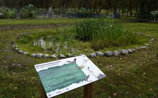 Before after the creation of a pond in a community garden (September 2025). Photo credit: Laboratório da Paisagem