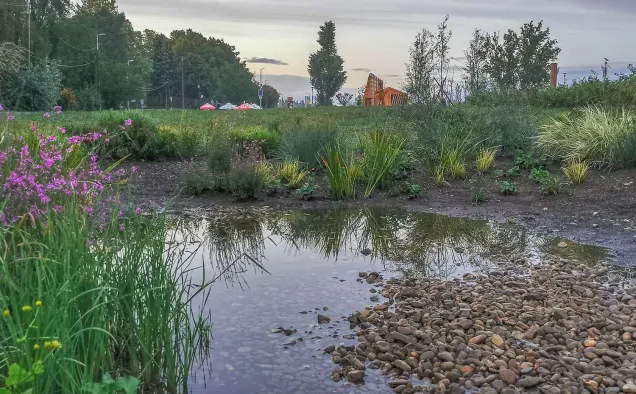 Rain Garden in Budapest, after rain. Photo credits: Municipality of Budapest.  