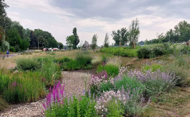 Rain Garden in Budapest, before rain. Photo credits: Municipality of Budapest.