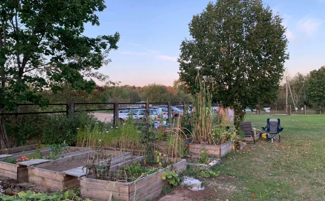 Community Garden in Vilnius after the project (2024). Photo credits: Municipality of Vilnius
