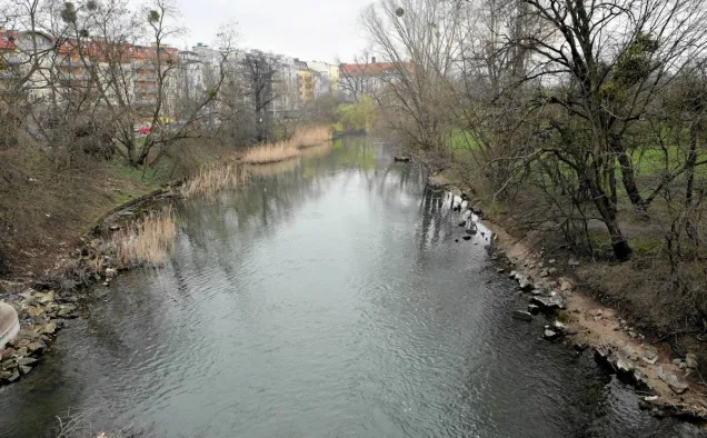 Before (2016) revitalisation of the Oława River. Photo credits: Wrocław.pl.avif