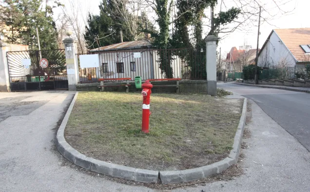 Median strip before (2020) rewilding. Photo credits: Municipality of Hegyvidék. 