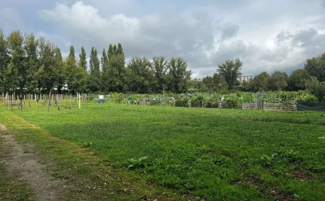 Before (August 2024) the creation of a pond in a community garden. Photo credit: Laboratório da Paisagem