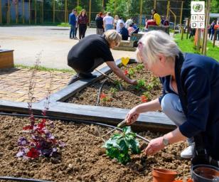 People cultivating a vegetable garden