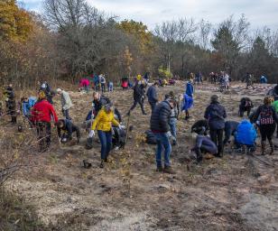 A group of people participating in a tree-planting event or community service activity in an outdoor setting.