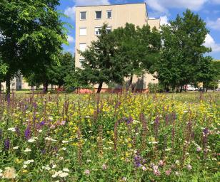 Urban living and natural beauty, highlighting the importance of green spaces within city environments.