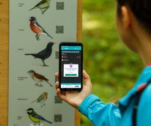 A person in an outdoor setting using a smartphone to scan a QR code on a wildlife informational signboard