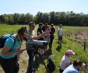 People in Ormoz, observing a field in the countryside