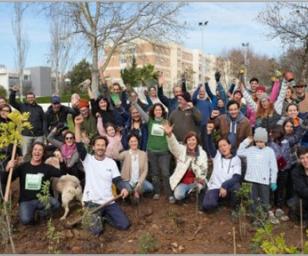 A group of people coming together to plant trees and improve their local green space.