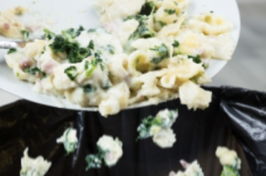 Food waste