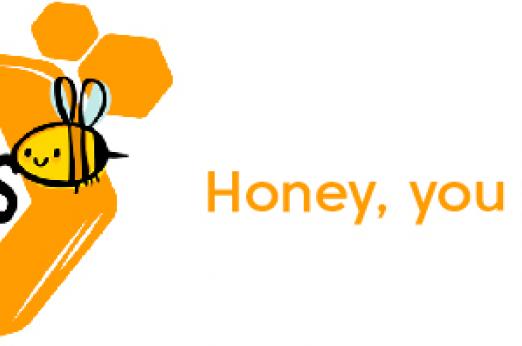 Bees - honey COVER
