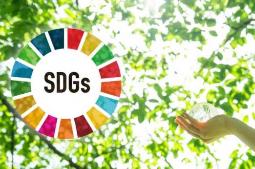 sdgs
