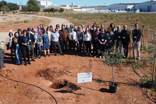 A group of people standing behind an olive tree to be planted