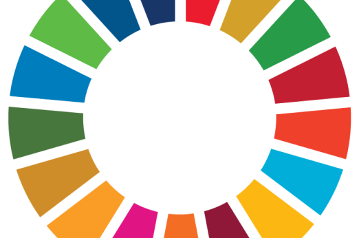 SDG wheel
