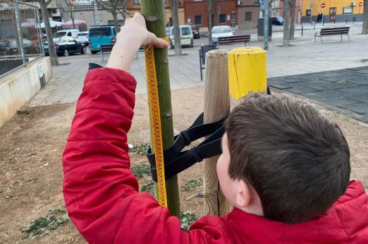 Co-Carbon Tree Measurement in Viladecans (ES)