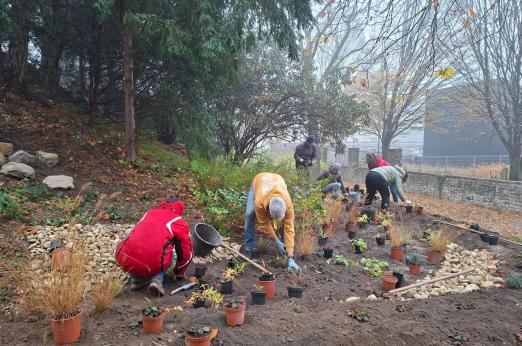 Photo by RÉT - Regeneratív Élőhely Tervezés