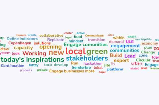 Word cloud illustrating participants’ responses to the question: “What should be the next step to accelerate green economic development in your local context?”