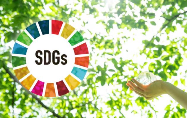 Localising SDGs