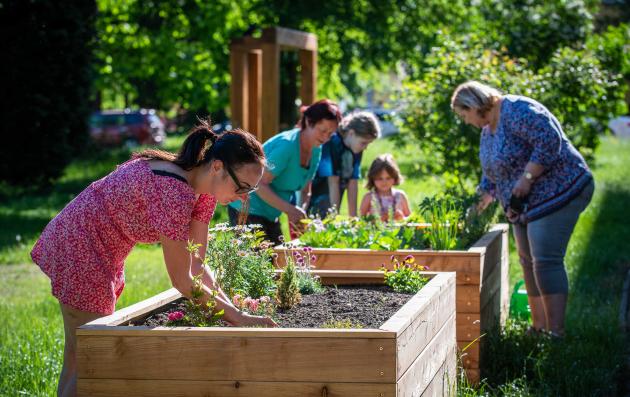 Group of people cultivating vegetable gardens