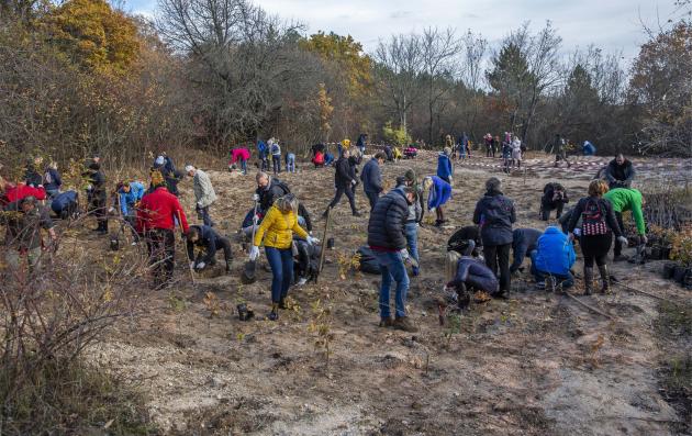 A group of people participating in a tree-planting event or community service activity in an outdoor setting.