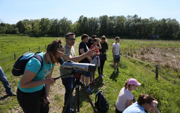 People in Ormoz, observing a field in the countryside