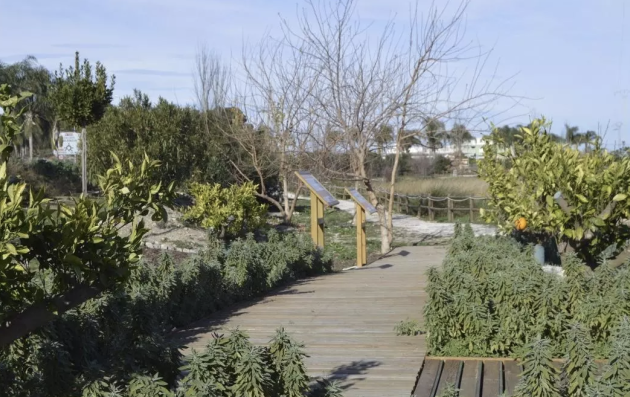 Outdoor scene featuring a wooden boardwalk or pathway winding through a natural area. 